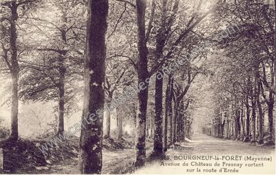 Carte postale ancienne Avenue du Château de Fresnay sortant sur la route d'Ernée — Le Bourgneuf-la-Forêt (Mayenne)