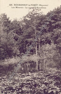 Carte postale ancienne Les Minerais - La cave des Rondières — Le Bourgneuf-la-Forêt (Mayenne)