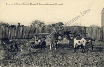 Carte postale ancienne Bazouges — Château-Gontier (Mayenne)