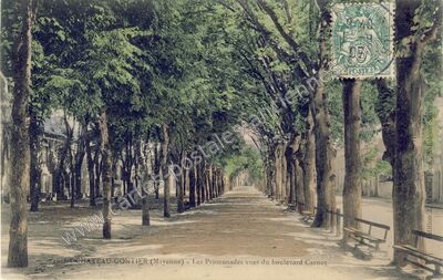 Carte postale ancienne Les Promenades vues du boulevard Carnot — Château-Gontier (Mayenne)