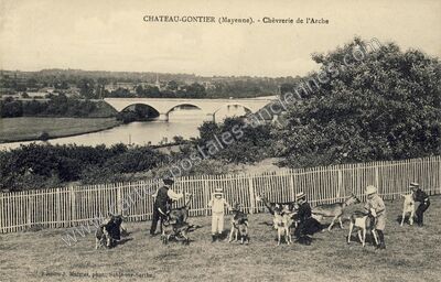 Carte postale ancienne Chèvrerie de l'Arche — Château-Gontier (Mayenne)