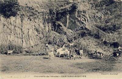 Carte postale ancienne Chèvrerie de l'Arche — Château-Gontier (Mayenne)