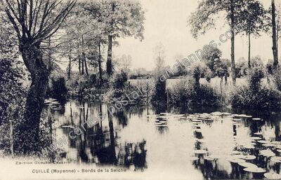 Carte postale ancienne Bords de la Selche — Cuillé (Mayenne)