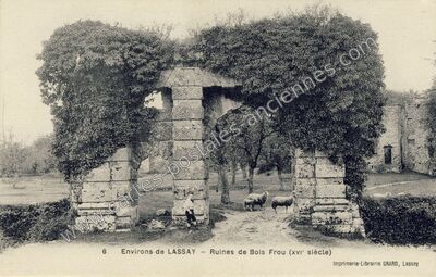Carte postale ancienne Chateau de Bois Frou — Lassay-les-Châteaux (Mayenne)