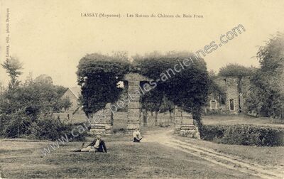 Carte postale ancienne Chateau de Bois Frou — Lassay-les-Châteaux (Mayenne)