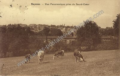 Carte postale ancienne Vue Panoramique prise du Sacré-Cœur — Mayenne (Mayenne)