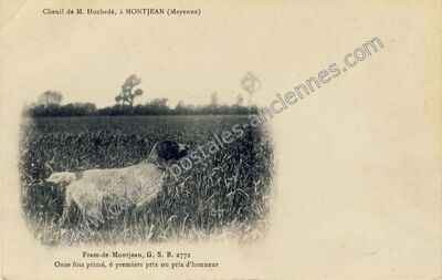 Carte postale ancienne Chenil de M. Huchedé — Montjean (Mayenne)