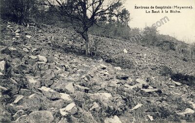 Carte postale ancienne Saint-Calais-du-Désert