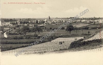 Carte postale ancienne Vue des Vignes — Saint-Denis-d'Anjou (Mayenne)
