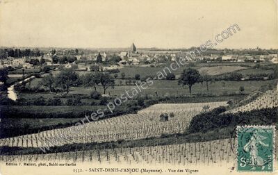 Carte postale ancienne Vue des Vignes — Saint-Denis-d'Anjou (Mayenne)