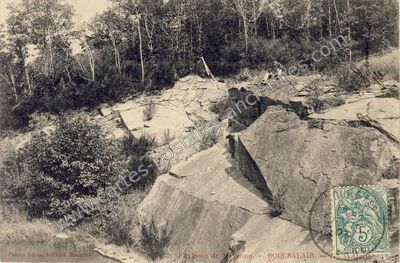 Carte postale ancienne Bois Salair — Saint-Georges-Buttavent (Mayenne)
