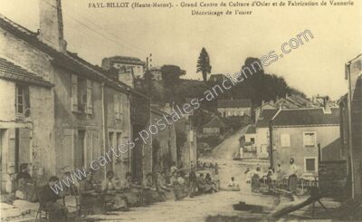 Carte postale ancienne Grand Centre de Culture d'Osier et de Fabrication de Vannerie / Décorticage de l'osier — Fayl-Billot (Haute-Marne)