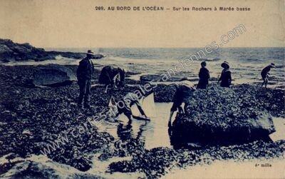 Carte postale ancienne Bord de l'Ocean — Non Localisée (Loire-Atlantique)