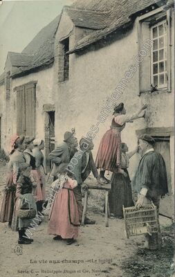 Carte postale ancienne La Vie aux Champs — Non Localisée (Loire-Atlantique)