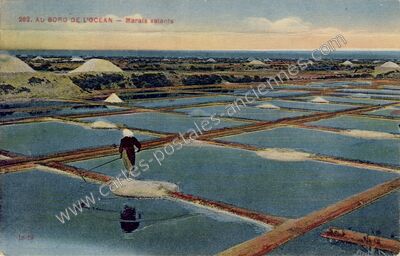 Carte postale ancienne Au bord de l'océan - Marais salants — Batz-sur-Mer (Loire-Atlantique)