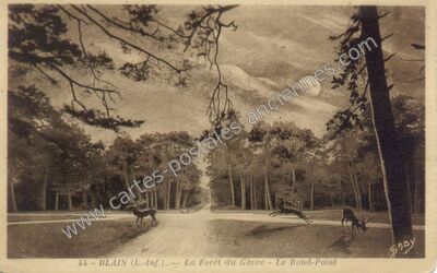 Carte postale ancienne La Forêt du Gâvre - Le Rond-Point — Blain (Loire-Atlantique)