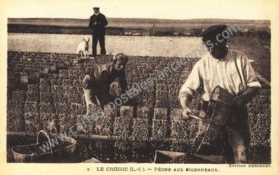 Carte postale ancienne Pêche aux bigorneaux — Le Croisic (Loire-Atlantique)
