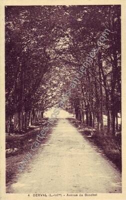 Carte postale ancienne Avenue du Boschet — Derval (Loire-Atlantique)