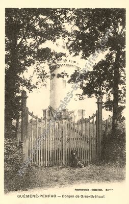 Carte postale ancienne Donjon de Grée-Bréhaut — Guémené-Penfao (Loire-Atlantique)