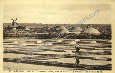 Carte postale ancienne Marais salants, près de Saillé - Le Moulin et les Mulons de sel — Guérande (Loire-Atlantique)