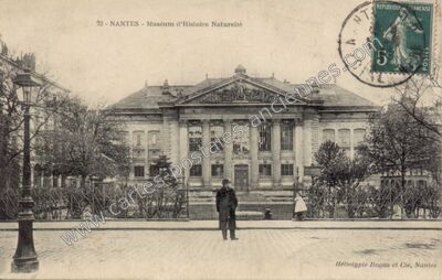 Carte postale ancienne Muséum d'Histoire Naturellé — Nantes (Loire-Atlantique)