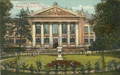 Carte postale ancienne Museum d'Histoire Naturelle — Nantes (Loire-Atlantique)