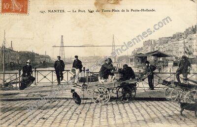 Carte postale ancienne Le Port. Vue du Terre-Plein de la Petite-Hollande — Nantes (Loire-Atlantique)