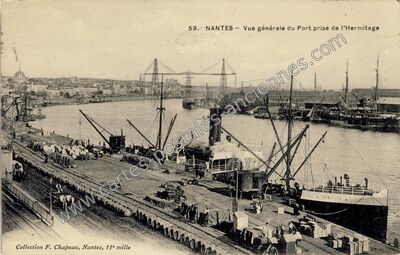 Carte postale ancienne Vue générale du Port prise de l'Hermitage — Nantes (Loire-Atlantique)