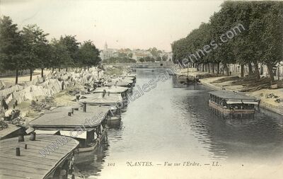 Carte postale ancienne Vue sur l'Erdre — Nantes (Loire-Atlantique)