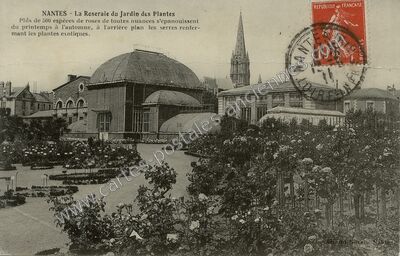 Carte postale ancienne La Roseraie du Jardin des Plantes — Nantes (Loire-Atlantique)