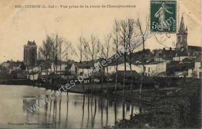 Carte postale ancienne Vue prise de la route de Champtoceaux — Oudon (Loire-Atlantique)
