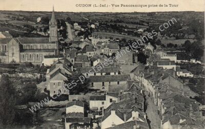 Carte postale ancienne Vue Panoramique prise de la Tour — Oudon (Loire-Atlantique)