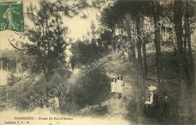 Carte postale ancienne Dunes du Bois-d'Amour — Pornichet (Loire-Atlantique)