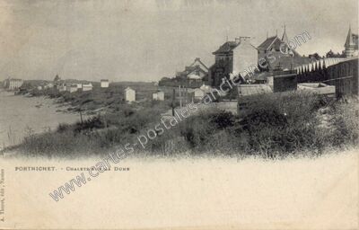 Carte postale ancienne CHALETS SUR LA DUNE — Pornichet (Loire-Atlantique)