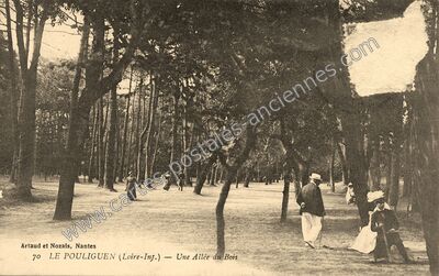 Carte postale ancienne Une Allée du Bois — Le Pouliguen (Loire-Atlantique)