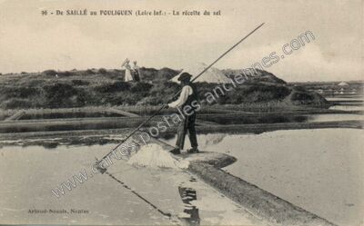 Carte postale ancienne De Saillé au Pouliguen - La récolte du sel — Le Pouliguen (Loire-Atlantique)