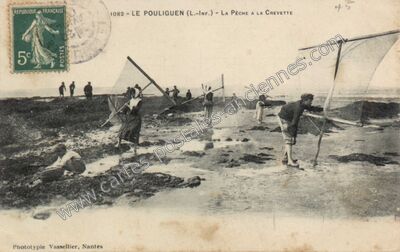 Carte postale ancienne La Pêche à la Crevette — Le Pouliguen (Loire-Atlantique)
