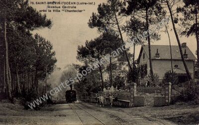 Carte postale ancienne St Brevin l'Ocean — Saint-Brevin-les-Pins (Loire-Atlantique)