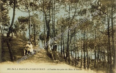 Carte postale ancienne Bois d'Amour — La Baule-Escoublac (Loire-Atlantique)