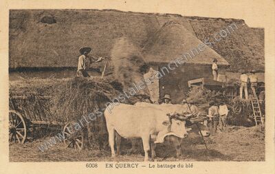 Carte postale ancienne En Quercy — Non Localisée (Lot)