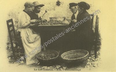 Carte postale ancienne Le Lot Illustre — Non Localisée (Lot)