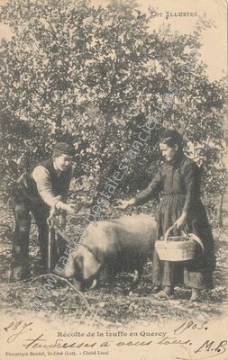Carte postale ancienne Le Lot Illustre — Non Localisée (Lot)