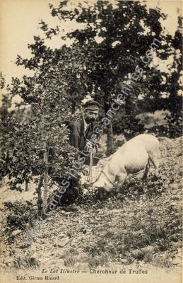 Carte postale ancienne Le Lot Illustre — Non Localisée (Lot)