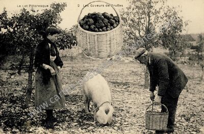 Carte postale ancienne Le Lot Pittoresque — Non Localisée (Lot)