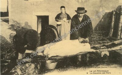 Carte postale ancienne Le Lot Pittoresque — Non Localisée (Lot)