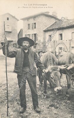 Carte postale ancienne Le Lot Pittoresque — Non Localisée (Lot)