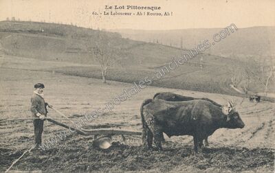 Carte postale ancienne Le Lot Pittoresque — Non Localisée (Lot)