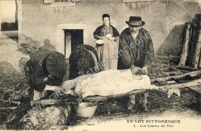 Carte postale ancienne Le Lot Pittoresque — Non Localisée (Lot)