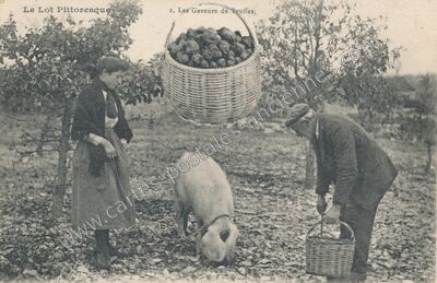 Carte postale ancienne Le Lot Pittoresque — Non Localisée (Lot)