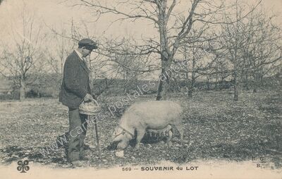 Carte postale ancienne Souvenir du Lot — Non Localisée (Lot)